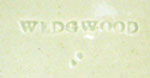 Conchology Mark