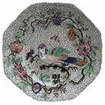parrot plate