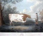 Durham ox plate mark