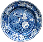 Goldfinch plate 